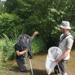 Découverte des insectes forestiers